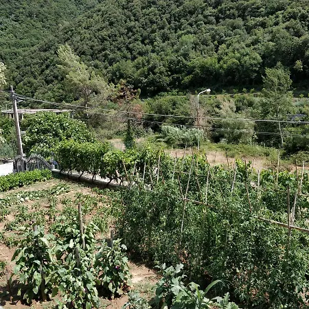 Casa Del Conte Ferienhaus Isolabona